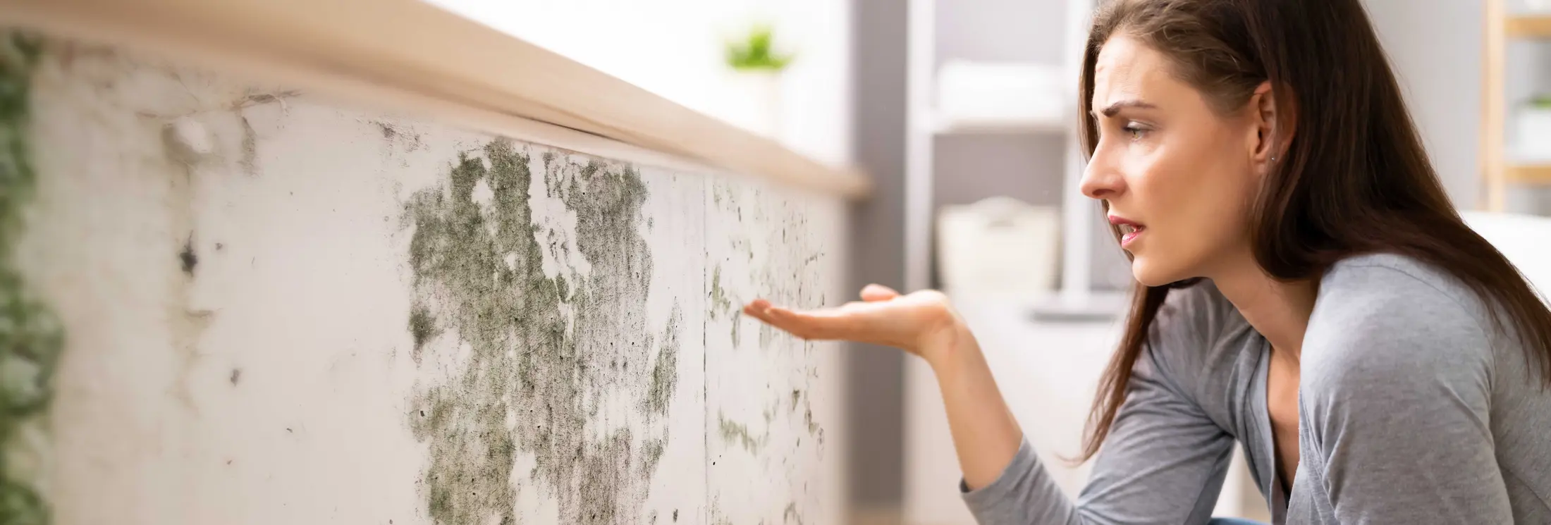 Fallrohrsanierung Frankfurt Fallrohrsanierung Frankfurt